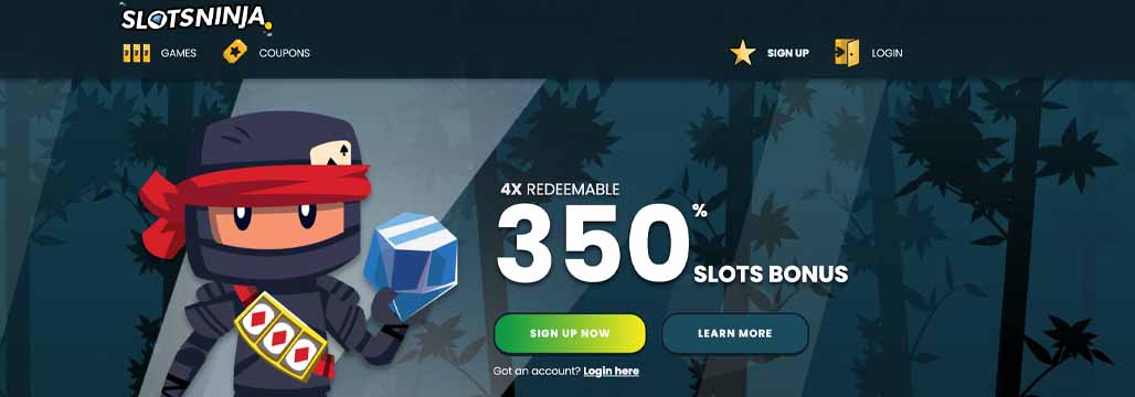 Slots Ninja promotion